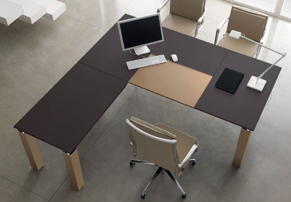 Bureau de Direction Regal Cuir Bicolore