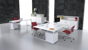 Ensemble Ibis