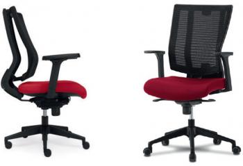 Fauteuil Ergonomique C41 Dossier Flexible