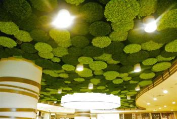 Cloisons Acoustiques pour Plafond