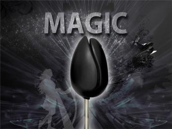 Siège TULPI design MAGIC