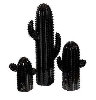 Ensemble de Cactus Décoratifs