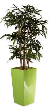 Bambou Décoratif 190 Glossy