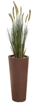 Herbe de Dunes 180