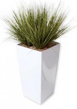 Graminées Glossy 110