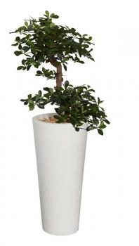 BONZAI Artificiel 150