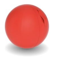 Ballon de Fitness Tapissé