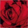 Tapis ROSE
