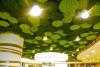 Cloisons Acoustiques pour Plafond
