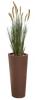 Herbe de Dunes 180
