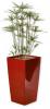 PAPYRUS Parasol Glossy 150