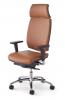Fauteuil de Direction Dorsalis + Tout Cuir